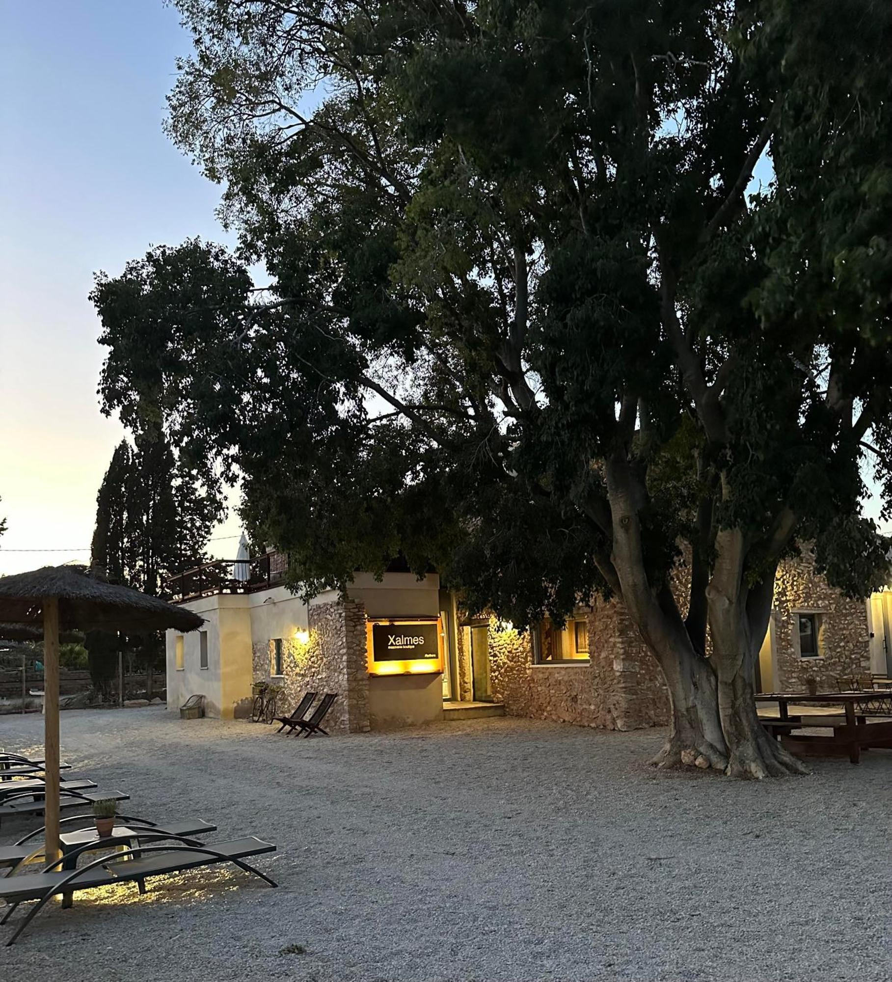 Mas Xalmes Βίλα Camarles Εξωτερικό φωτογραφία